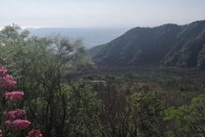 Pompeii and Vesuvius Private Tour 3