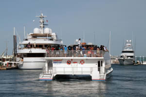 Key West Sunset Sail & Snorkeling Adventure 3