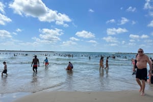 Miami Snorkeling Adventure 4