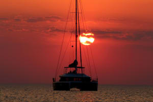 Key West Dolphin Watching Cruise & Snorkeling 4