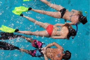 Islamorada 2-Hour Snorkeling Adventure 3
