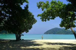 Surin Island Snorkeling Adventure 3