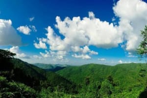 Khao Yai National Park Hiking Adventure 4