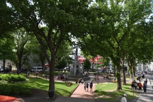 Quebec City Panoramic Bus Tour 4