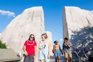 DC Monuments & Capitol Hill Electric Cart Tour 3