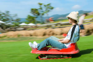 Da Lat Full-Day Tour 2025 3