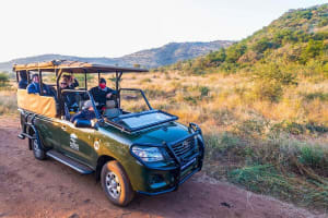 3-Day Pilanesberg Safari at Ivory Tree Game Lodge 4