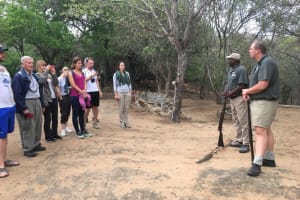 4-Day Masango Safari Tour in South Africa 3