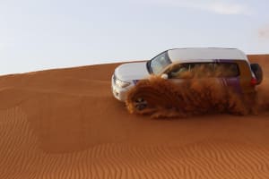 Morning Desert Safari: Dune Bashing & Camel Ride Experience 4