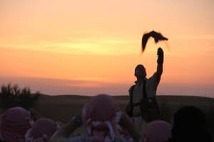 Private Desert Safari with Falcon Show 3