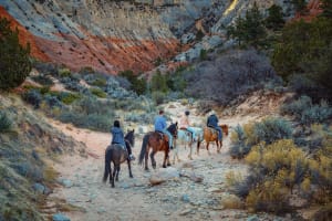 East Zion White Mountain Horseback Ride 4