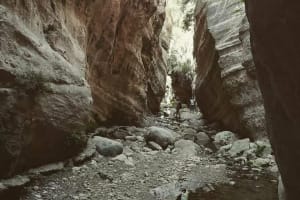 Akamas National Park Jeep Safari 4