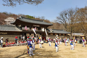 Korean Folk Village Half-Day Tour 4