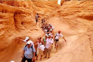 Dahab Snorkeling & Canyon Salama Safari 4