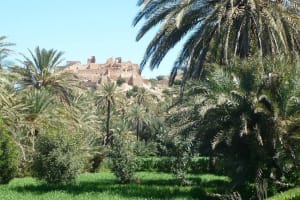 Taroudant & Tiout Oasis Shore Excursion 3