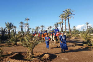 Marrakech Palm Grove Camel Ride 4