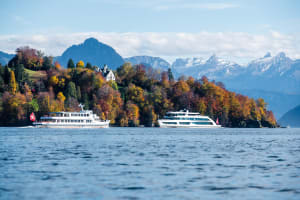 Zurich Self-Guided Day Trip to Lucerne and Bürgenstock 3