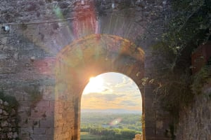 Chianti Half-Day Wine Tasting Tour from Siena 4