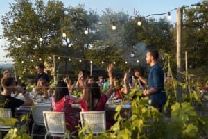 Chianti Vineyard Dinner & Wine Tasting 3