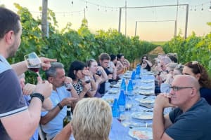 Chianti Vineyard Dinner & Wine Tasting 4