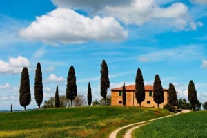 Tuscan Chianti Hills Horseback Riding Tour 4