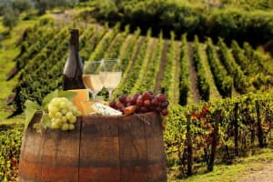 Chianti Brunch Wine Tasting Tour 3