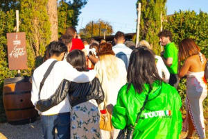 Chianti Half-Day Wine Tour from Florence 3