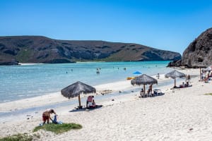 La Paz & Balandra Beach Day Trip 4