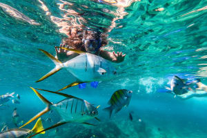 Cabo San Lucas Shopping, Tequila Tasting, and Snorkel Tour 3