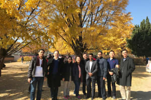 Nami Island & Petit France Day Tour 3