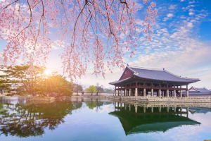 Seoul City Tour: Luxury to Grassroots 3