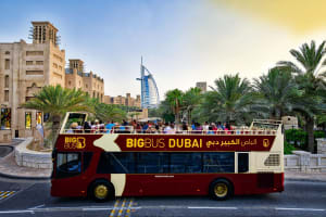 Dubai Night City Tour 4