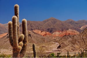 Cafayate and Cachi Combo Tour 3