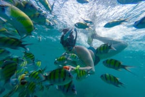 Phi Phi Islands Adventure Day Trip from Khao Lak 4