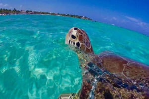 St. John Snorkel Adventure 3