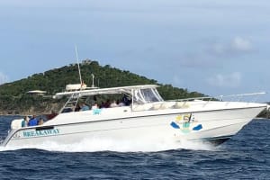 Half-Day Snorkeling Adventure from Margaritaville 4
