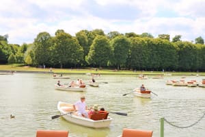 Versailles Palace Private Tour with Lunch 4