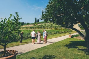 Valpolicella and Amarone Wine-Tasting Tour 4