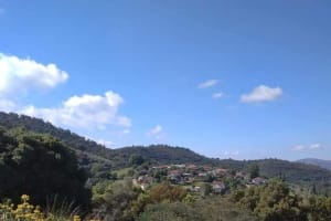 Athens Olive Oil Tasting Tour 4
