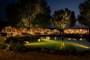 Luxury Desert Safari with Fine Dining 3