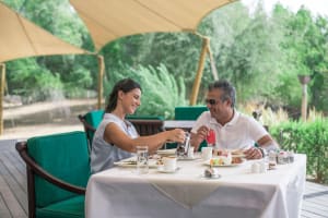 Private Falconry Experience in Dubai 4