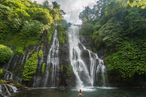 North Bali Waterfall & Hidden Hills Tour 4