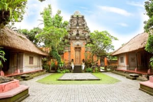 Ubud City Tour: Monkey Forest & Rice Terrace 4