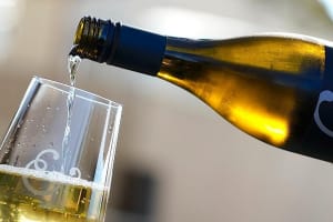 Russian River Wine Tasting & Gourmet Lunch 4