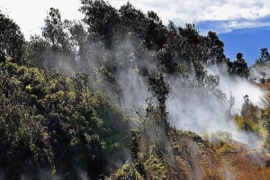 Hawaii Volcanoes National Park Tour from Maui 4