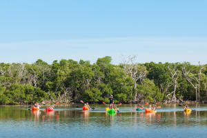 Key West Full-Day Ocean Adventure 3