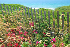 Martha's Vineyard Day Trip from Boston 4