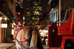 New Orleans Haunted Carriage Tour 4