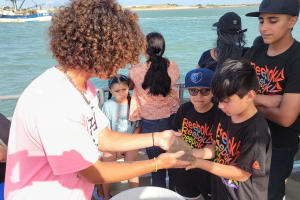 South Padre Island Dolphin Watch Eco Tour 4