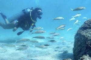 Honolulu Beginner Scuba Diving Adventure 3